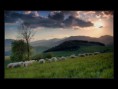 /album/orava/a12-jpg/