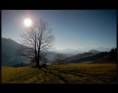 /album/orava/a15-jpg/
