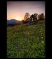 /album/orava/a20-jpg/