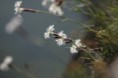 /album/fotogaleria-sulov/a24-jpg3/