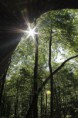 /album/fotogaleria-sulov/a26-jpg3/